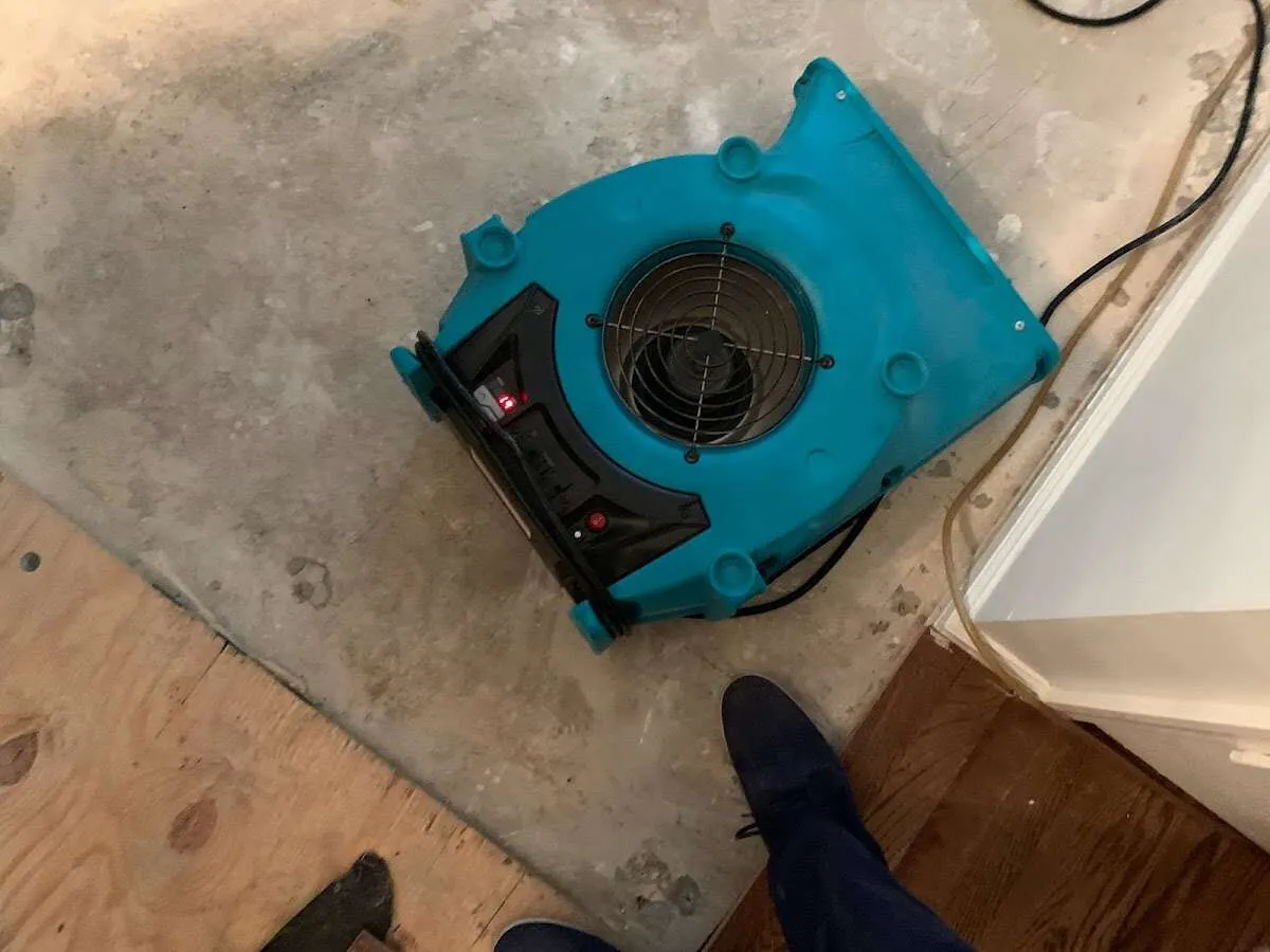 Air mover drying subfloor during Leak Detection & Repair in Live Oak