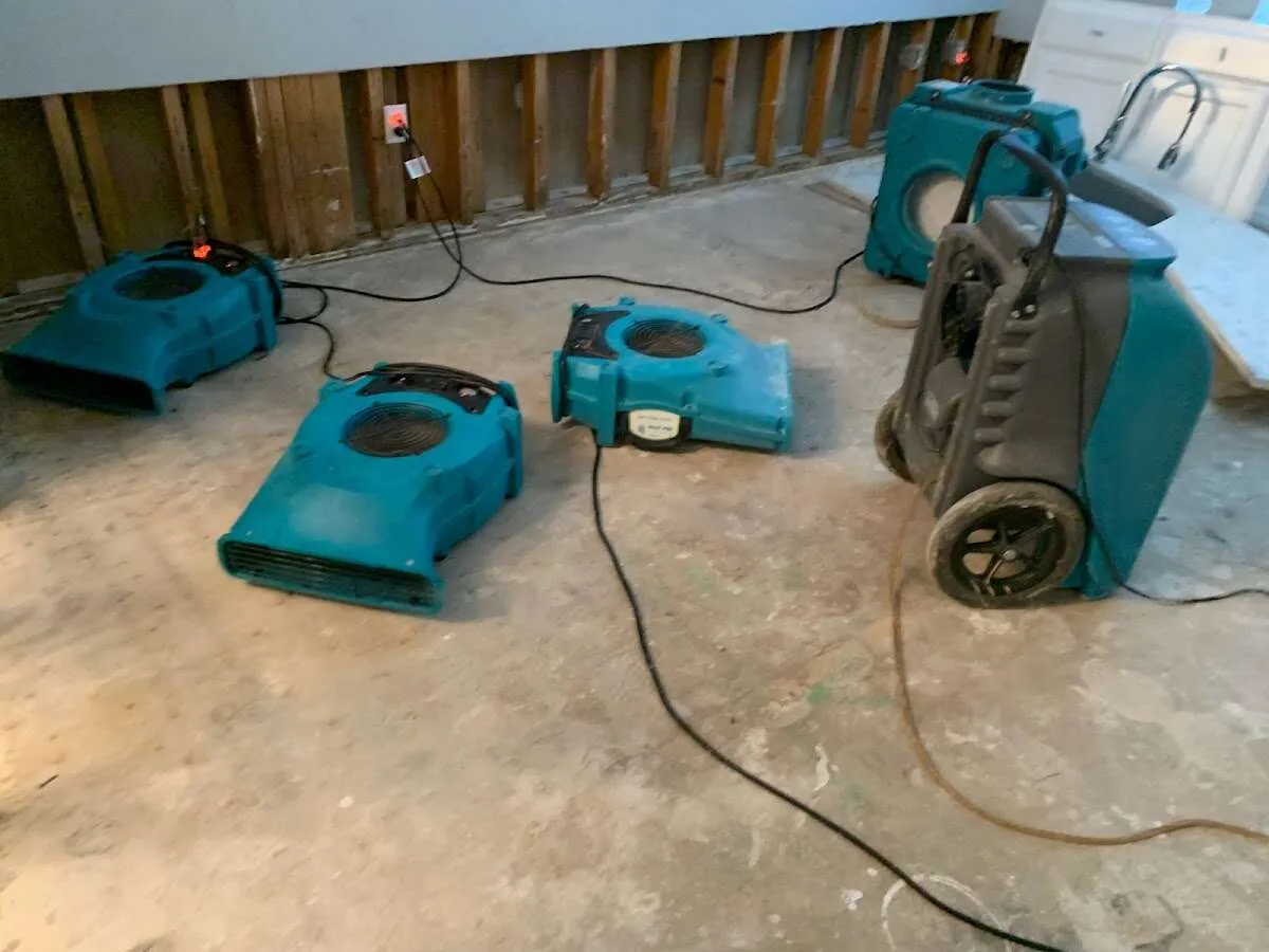 Water Damage Restoration services in Live Oak, TX